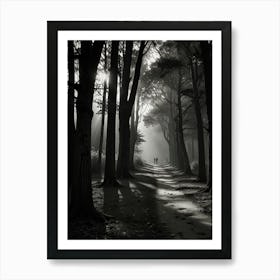 Dark Forest Path Art Print