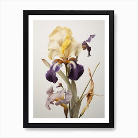 Pressed Flower Botanical Art Iris 2 Art Print