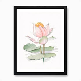 Blooming Lotus Flower In Lake Pencil Illustration 3 Art Print