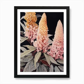 Flower Illustration Celosia 3 Art Print