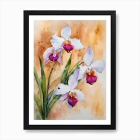 Brassavola Orchids Water Colour Art Print