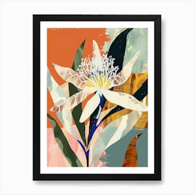 Colourful Flower Illustration Edelweiss 2 Art Print