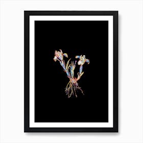 Stained Glass Sand Iris Mosaic Botanical Illustration on Black n.0102 Art Print