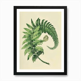 Vintage Illustration Upside Down Fern 4 Art Print