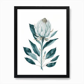 Minimal White Protea Flower Painting (3) Art Print
