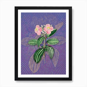 Vintage Starry Osbeckia Flower Botanical Illustration on Veri Peri n.0164 Art Print