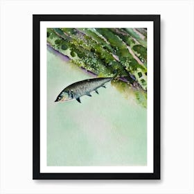 Sardine II Storybook Watercolour Art Print