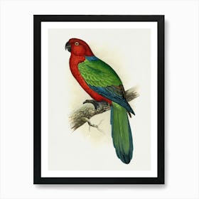 Parrot 20 Art Print