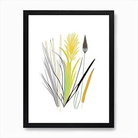 Lemon Grass Spices And Herbs Minimal Line Drawing 1 Art Print