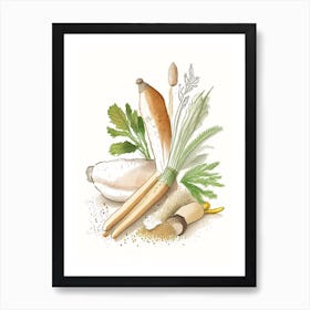 Horseradish Spices And Herbs Pencil Illustration 1 Art Print