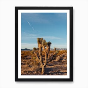 Nevada Desert Sunrise III Art Print