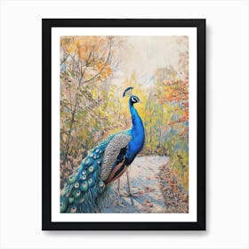 Peacock On The Path Scribble Portrait 3 Art Print