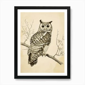 Spotted Owl Vintage Illustration 3 Art Print