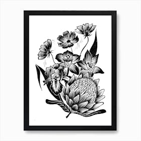 Protea Art Print