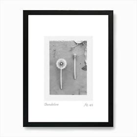 Dandelion Botanical Collage 2 Art Print