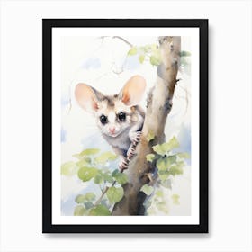 Light Watercolor Painting Of A Sugar Glider 6 Art Print