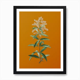 Vintage Lemon Verbena Branch Botanical on Sunset Orange n.0541 Art Print