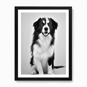 Collie B&W Pencil Dog Art Print