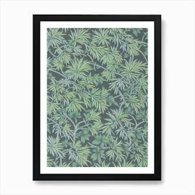 Japanese Black Pine 2 tree Vintage Botanical Art Print