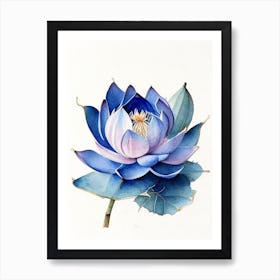 Blue Lotus Watercolour Ink Pencil 3 Art Print