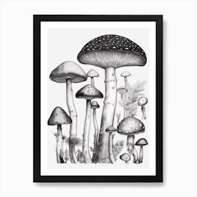 Mushroom Drawing B&W 1 Art Print