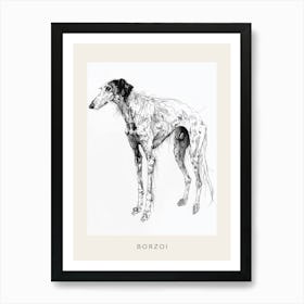 Borzoi Dog Line Sketch 3 Poster Art Print