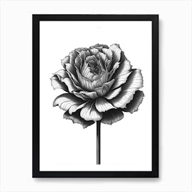 A Carnation In Black White Line Art Vertical Composition 26 Art Print