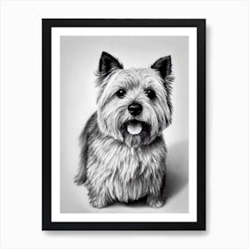 Norwich Terrier B&W Pencil Dog Art Print