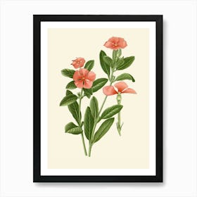 Hibiscus 47 Art Print