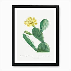 Cactus Opuntia Inermis, Pierre Joseph Redoute Art Print