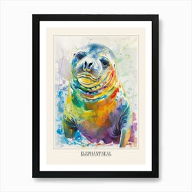 Elephant Seal Colourful Watercolour 2 Poster Art Print