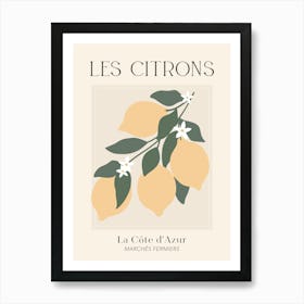 Les Citrons Art Print