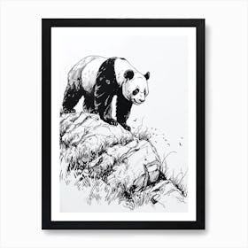 Giant Panda Walking On A Mountain Ink Illustration 1 Art Print