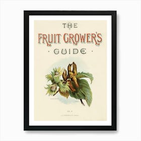 Vintage Illustrations Of Fruits, John Wright Art Print