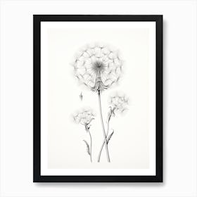 Dandelions Flower Vintage Botanical 0 Art Print