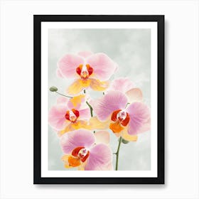 Orchids Flowers Acrylic Painting In Pastel Colours 5 Art Print