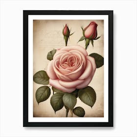 Vintage Roses Art Print