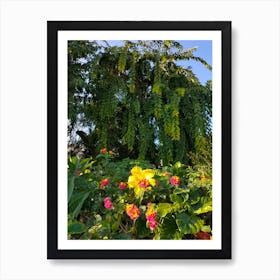 Hibiscus Garden Summer and Spring blossom floral park Art Print