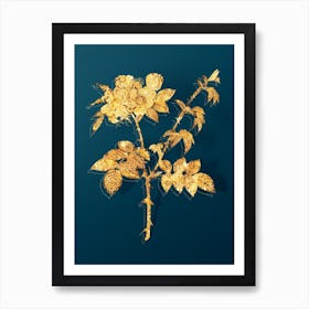 Vintage White Flowered Rose Botanical in Gold on Teal Blue n.0071 Art Print