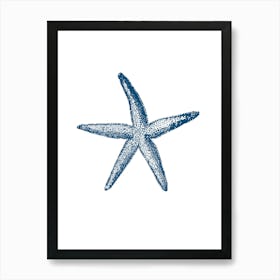 Starfish 14 Art Print