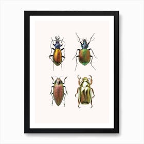 Insectes Affiche Minimaliste pour Salon