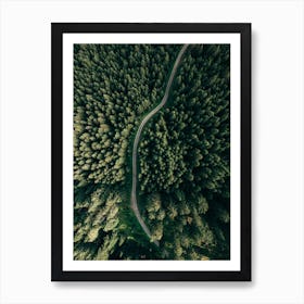 Street Through The Forest, Edition 2 Art Print