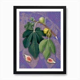 Vintage Fig Botanical Illustration on Veri Peri n.0798 Art Print