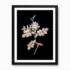Stained Glass Pink Sweetbriar Rose Mosaic Botanical Illustration on Black n.0118 Art Print