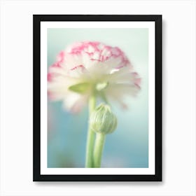 Spring Flower - Pastel Floral Photography Art Print