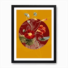 Vintage Botanical Monks Cress Tropaeolum majus on Circle Red on Yellow n.0004 Art Print
