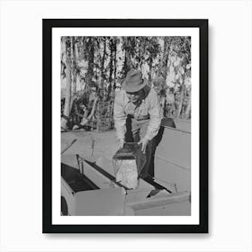 Salinas, California, Putting Seed Into The Planter Used In Guayule Nursery Of The Intercontinental Rubber Producers By 1 Art Print