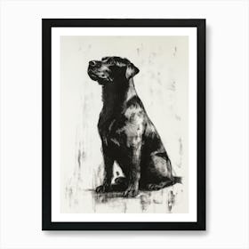 Drawing Of A Rottweiler Sitting Affiche