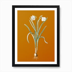 Vintage Narcissus Candidissimus Botanical on Sunset Orange Art Print