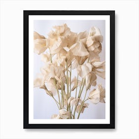 Boho Dried Flowers Sweet Pea 2 Art Print